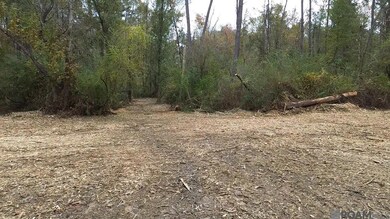 Parcel 2-A Hano Rd, Independence, LA 70443 - photo 5