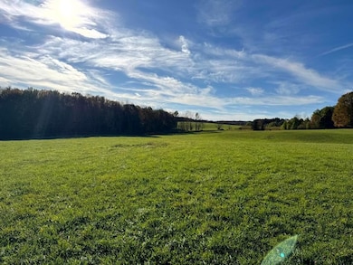 0 County Road 29, South Edmeston, NY 13411 - photo 3