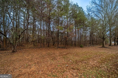 0 Fire Tower Rd NW unit 10655853, Euharlee, GA 30120 - photo 5