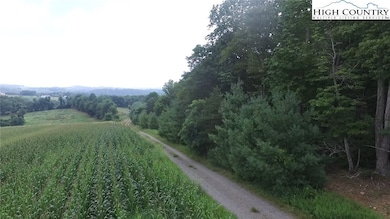 Tract 5 Millards Way, Sparta, NC 28675 - photo 2