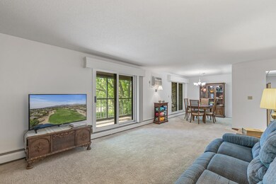 35 Nathan Ln N unit 312, Plymouth, MN 55441 - photo 4