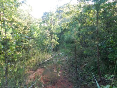 0 Old Cox Rd unit 806350, Asheboro, NC 27205 - photo 6