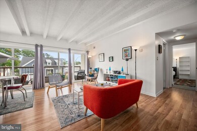 13907 Sand Dune Rd unit 5B, Ocean City, MD 21842 - photo 5