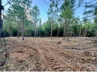 22 Cedar Ridge Dr, Northport, AL 35475 - photo 5