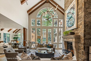 303 W Hopkins Ave, Aspen, CO 81611 - photo 4