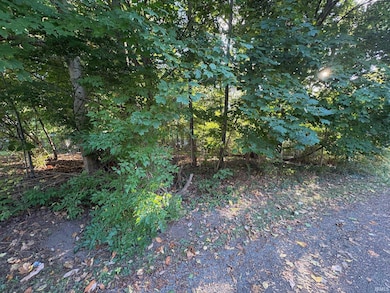 17180 Linda St, South Bend, IN 46635 - photo 4