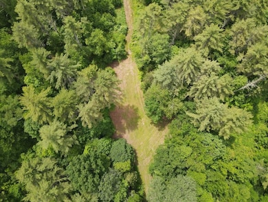 0 Marshall Phillips Rd unit 24033421, Brandon, VT 05733 - photo 6