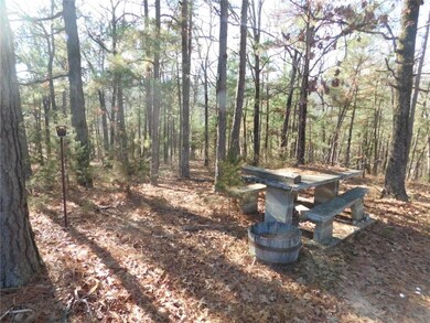 14128 Parker Branch Rd, West Fork, AR 72774 - photo 7