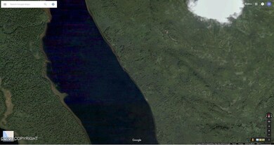 L49B No Rd, Skwentna, AK 99667 - photo 3
