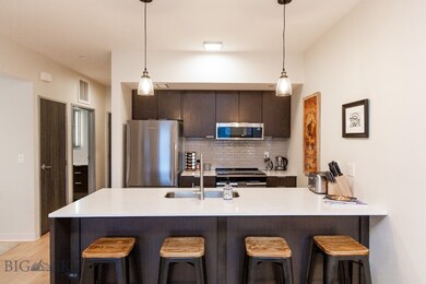 718 W Babcock St unit 409, Bozeman, MT 59715 - photo 5