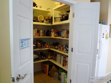 Walk-in Lighted Pantry