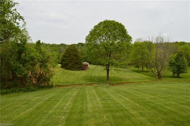back yard from house