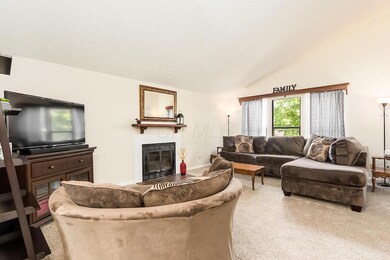 T 3653 Wango ct00001