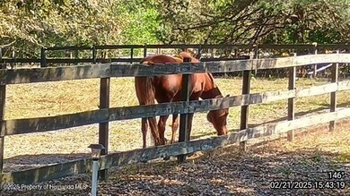 IMG_20250221_154319