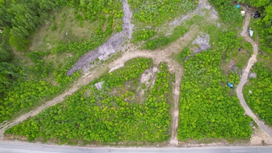 Map8Lot10 Cardville Road, Greenbush, ME