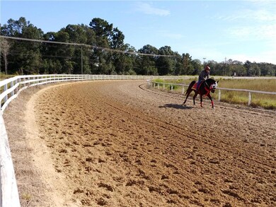 Thoroughbred in Training