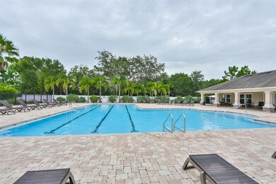 10702 Aldo Moro Dr, Wimauma, FL 33598 - photo 7