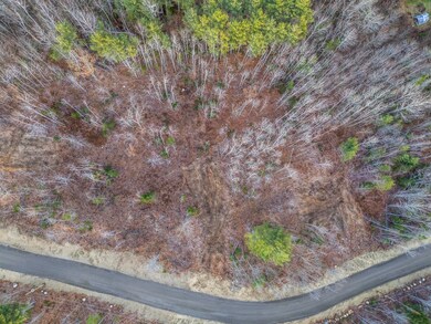 Lot 9 Pine Hill Rd, Palermo, ME 04354 - photo 3