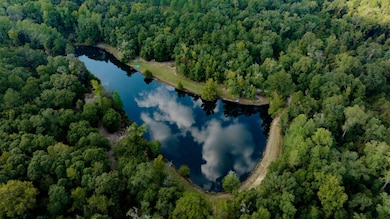 31 Georgia 41, Morgan, GA 39866 - photo 2