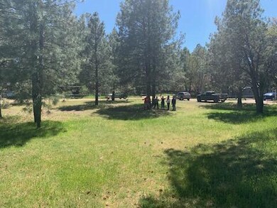 8584 W Elk Rd, Strawberry, AZ 85544 - photo 2