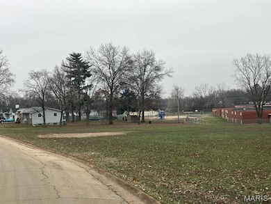 318 Davis Ct, Park Hills, MO 63601 - photo 4