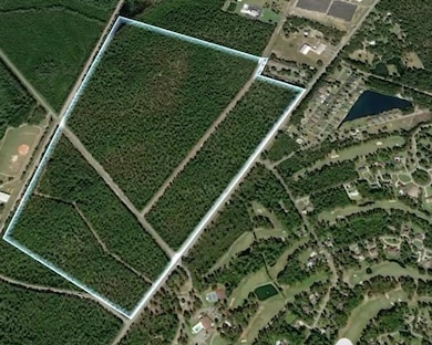 0 S Palm St unit 1656795, Jesup, GA 31546 - photo 3