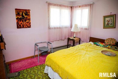 7319 Malone Rd, Alma, IL 62807 - photo 4