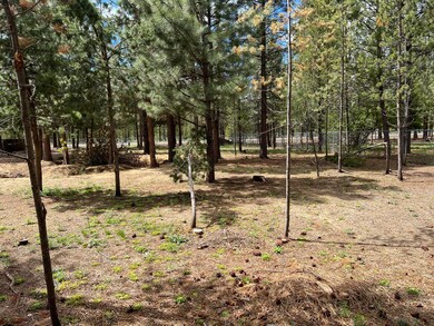IMG_0600 treed 1.02 ac