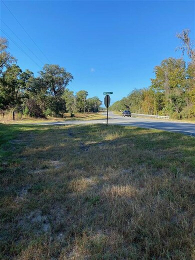 xx Harvey-Melton Rd, Crawfordville, FL 32327 - photo 2