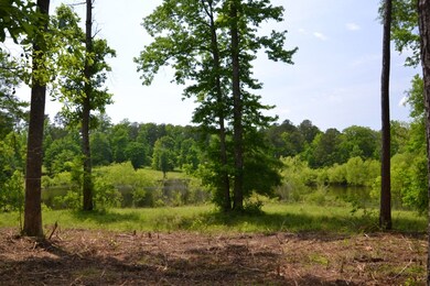 1170 Waterstone Dr, Madison, GA 30650 - photo 4