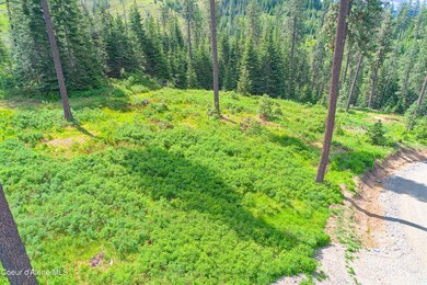 2304 S Blue Creek Lots 2 3 4 Rd, Coeur D'Alene, ID 83814 - photo 4