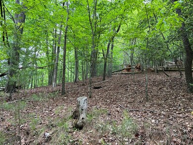 LT595 Jonquil Ln, Ellijay, GA 30540 - photo 7