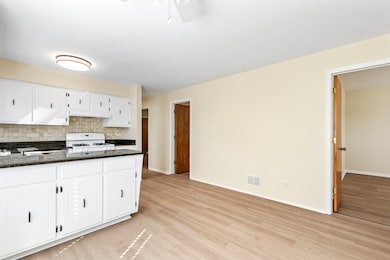 6617 N Northwest Hwy unit 3, Chicago, IL 60631 - photo 6