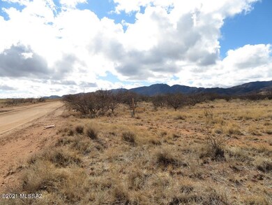Looking South