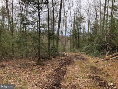 0 Route 00034 unit PAPY100554, Newport, PA 17074 - photo 6