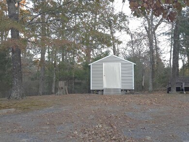 123 Moore Ln, Mena, AR 71953 - photo 4