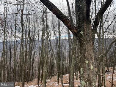 63 Sit Back Rd Off 93 E, Mount Storm, WV 26739 - photo 6