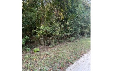 0 SW Iowa Dr unit 121111, Fort White, FL 32038 - photo 2