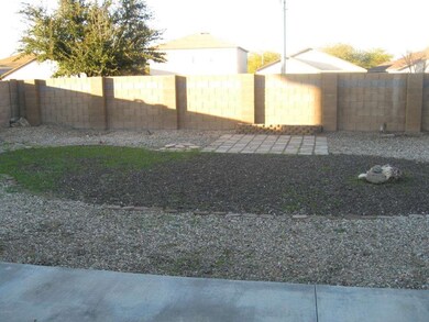 Large Backyard