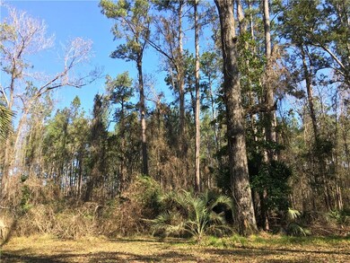 607 Colesburg Tompkins Rd, Woodbine, GA 31569 - photo 2