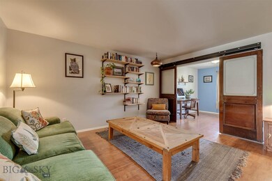 Living room- reclaimed doors to office/bedroom