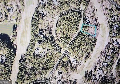 1071 Shoulder Bone Cir, Greensboro, GA 30642 - photo 2