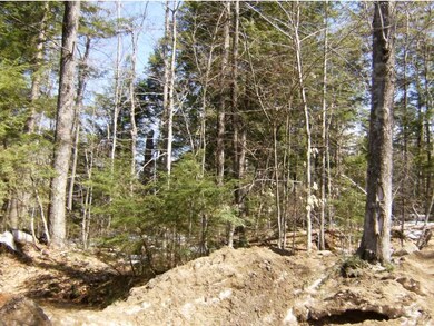 00-A Youngs Hill Rd, Freedom, NH 03836 - photo 4