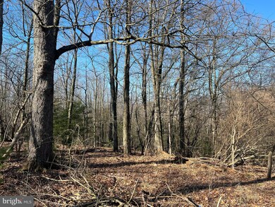 1124 Dormantown Rd, Mc Clure, PA 17841 - photo 5