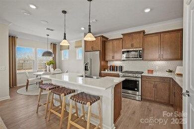 REPRESENTATIVE PHOTO