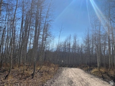 View of dirt / gravel road