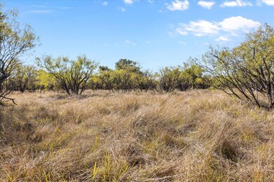 Berry Dairy Rd, Bryson, TX 76427 - photo 7