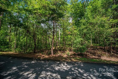 Lot 26 Line Dr, Forest City, NC 28043 - photo 7