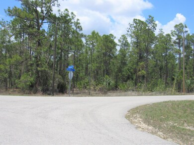 835 Gedeon Rd, Lehigh Acres, FL 33974 - photo 7