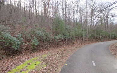 Additional View